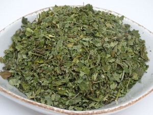 % Geißfuß (Giersch) bio